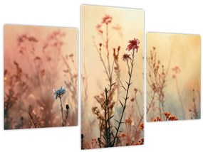 Tablou - Flori sălbatice (90x60 cm)