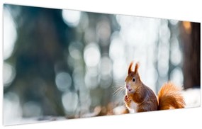 Tablou - Veveriță (120x50 cm)