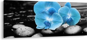 Tablou - Orhidee albastră (120x50 cm)
