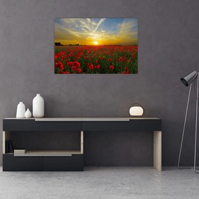 Tablou cu câmp cu maci (90x60 cm)