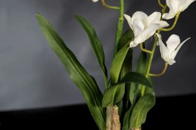 Aranjament floral elegant, design LUX ETERNITY ALFEO CYMBIDIUM