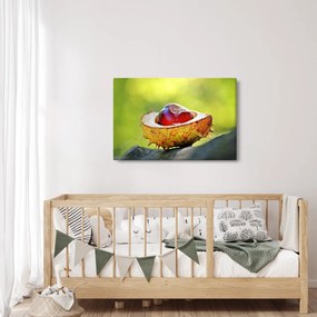 Tablou cu castani (90x60 cm)