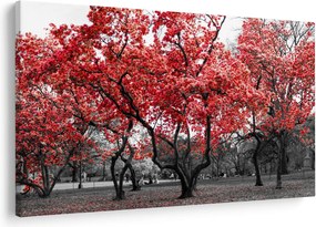 Tablou - Copacii roșii, Central Park, New York (90x60 cm)