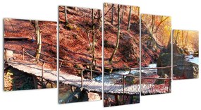 Tablouri - drum de toamnă prin pădure (150x70cm)