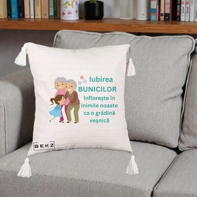 Cadou pentru Bunici - Perna Personalizata Bunicii Iubirea Infloreste cu Nepoata Teal, 40x40 cm, Bej cu Franjuri, Husa Detasabila, Perna Inclusa, BEKZ®