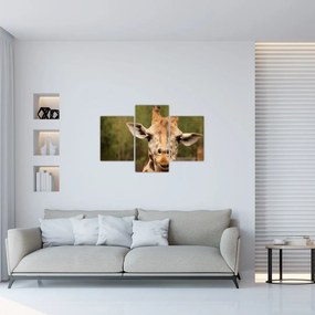 Tablou girafe (90x60 cm)