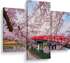 Tablou - Hirosaki, Japonia (90x60 cm)