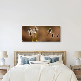 Tablou - Iarbă (120x50 cm)