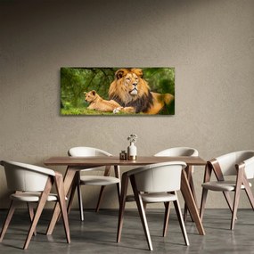 Tablou cu lei (120x50 cm)