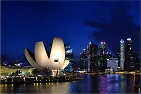 Tablou Singapore nocturn (90x60 cm)