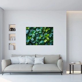 Tablou - Plante verzi (90x60 cm)