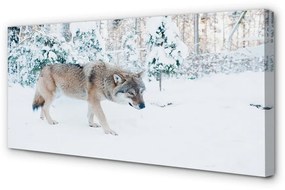 Tablouri canvas pădure de iarnă Wolf