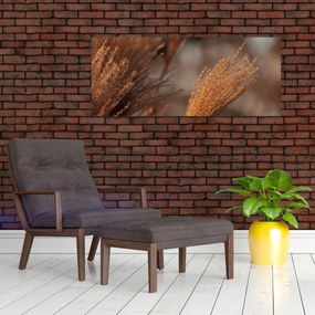 Tablou - Cortaderie (120x50 cm)