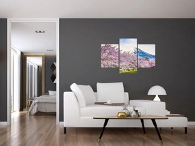 Tablou - Japonia în primăvară (90x60 cm)