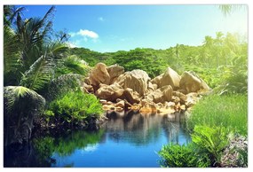 Tablou cu lac în jungla din Seychelles (90x60 cm)
