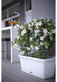 Jardiniera, Tortora, Vetro-Plus, 30x13x11 cm, plastic, maro