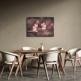 Tablou cu floare roz (70x50 cm)