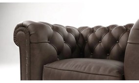 Fotoliu maro închis cu tapițerie din catifea Cambridge – Ropez