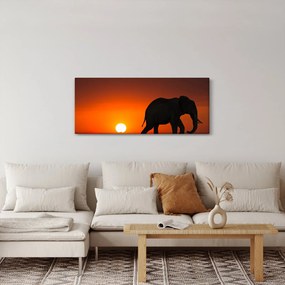 Tablou cu elefant în apus de soare (120x50 cm)