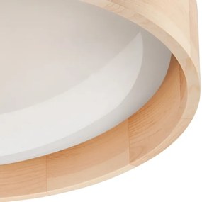 Brilagi - Plafonieră LED reglabilă MANAROLA LED/24W/230V + telecomandă