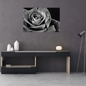 Tablou - Trandafir,alb-negru (90x60 cm)