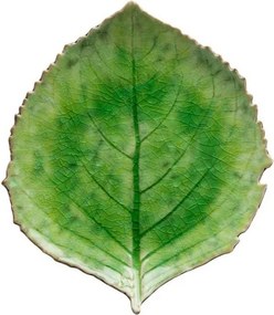 Farfurie din gresie ceramică Costa Nova Riviera, 19 x 22 cm, verde