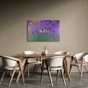 Tablou - fluture în lavandă (90x60 cm)