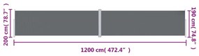 Copertina laterala retractabila, antracit, 200x1200 cm Antracit, 200 x 1200 cm