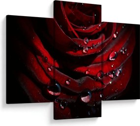 Tablou - Trandafir (90x60 cm)