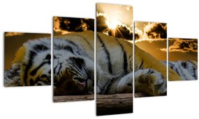 Tablou tigrul dormind (125x70 cm), în 40 de alte dimensiuni noi