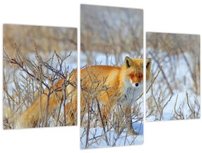 Tablou - Vulpe (90x60 cm)