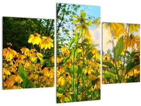 Tablou - Flori galbene (90x60 cm)