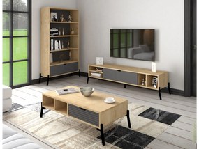 Set mobilier living Ponusetta (Stejar zafir + antracit). 1107146
