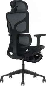 ERGO D-T5-BHL-01– Scaun Ergonomic Premium, Suport Lombar Dublu cu arc și reglaj al tensiunii, Cotiere 3D, Tetieră reglabilă, Șezut Glisant, Suport pentru picioare extensibil, Negru