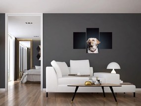 Tablou cu labrador (90x60 cm)