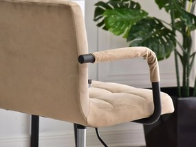 Scaun Elita (bej + negru). 1110022