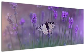 Tablou - fluture în lavandă (120x50 cm), în 40 de alte dimensiuni noi