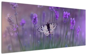 Tablou - fluture în lavandă (120x50 cm)