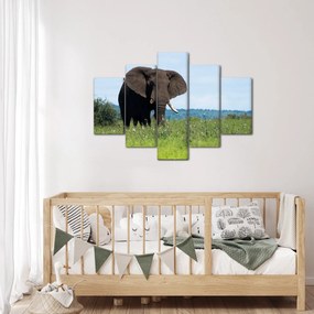 Tablou cu elefant (150x105 cm)