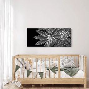 Tablou - Picături (120x50 cm)