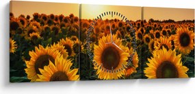 Tablou - Floarea soarelui (cu ceas) (90x30 cm)