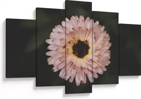 Tablou cu floare portocalie (150x105 cm)