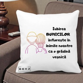 Cadou pentru Bunici - Perna Personalizata Iubirea Bunicilor Infloreste Cuplu Line Art Gradient, 40x40 cm, Alba Mata, Husa Detasabila, Perna Inclusa, BEKZ®