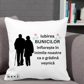Cadou pentru Bunici - Perna Personalizata Bunicii Iubirea Infloreste Silueta Neagra Flori, 40x40 cm, Alba Mata, Husa Detasabila, Perna Inclusa, BEKZ®