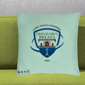 Perna Personalizata CSO Tricolorul Breaza 1951, 40x40 cm, Verde Menta, Husa Detasabila, Perna Inclusa, BEKZ®