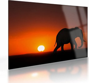 Tablou pe sticlă cu elefant în apus de soare (70x50 cm)