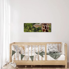 Tablou cu girafă din spate (cu ceas) (90x30 cm)