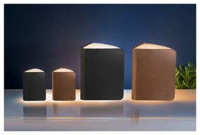 Decorațiune luminoasă neagră cu USB Booklight – Gingko