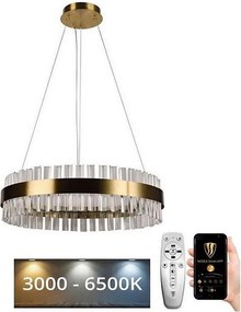 Brilagi - Lustră cu cristale LED dimabilă pe cablu HALO LED/40W/230V + telecomandă