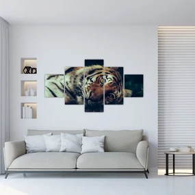Tablou - Tigrul Siberian (125x70 cm), în 40 de alte dimensiuni noi